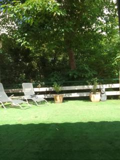 studio dans les arbres - 2