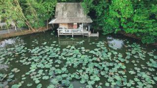 Tranquility living in the garden ,20km from airport - 8