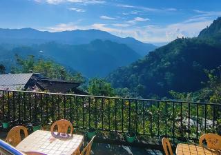 The Blue Crest -Ella - 6