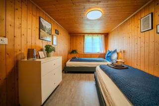 Mountain View near Brienz with Hot Tub & free parking - 3