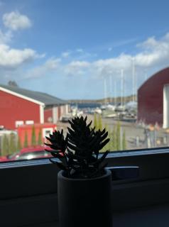 Bryggans Vandrarhem - 6