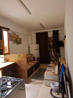 العين السخنه - 1