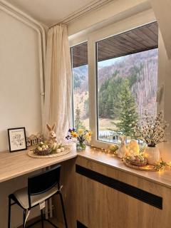 Apartman48Brzeće - 9