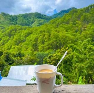 Joan's All Seasons Homestay - 9