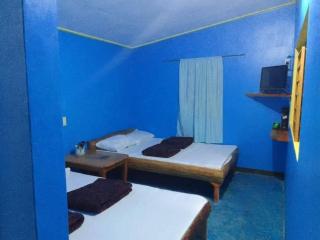 Joan's All Seasons Homestay - 4