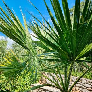 The House of Waves - 1