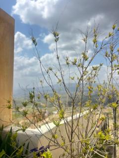 Luxury Mountain Chalet with Private Pool Lionden Jerash - 5