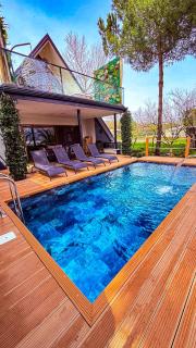 Shore of Sapanca Lake Çatı Villa Lakehouse - 4