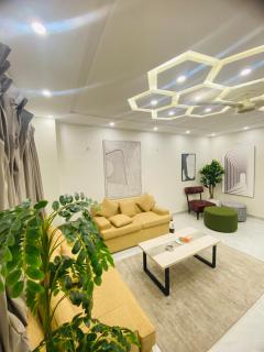 Luxury Two bedrooms Apartment - 9