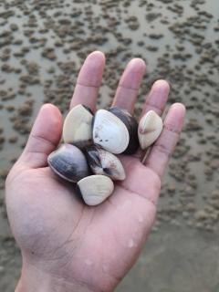 Lamae Beachfront Villa - 4