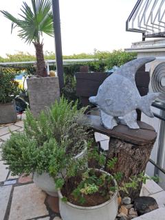 Apartment Marica - 5