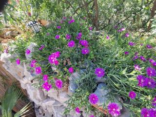 Apartment Marica - 1