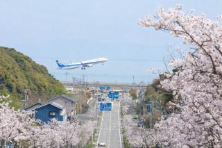 スペースポートホテル大分 -Spaceport Hotel Oita- - 0