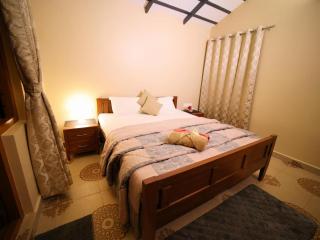 Airyaman Hollistic Hive - 5