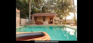 Airyaman Hollistic Hive - 4