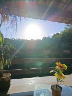 Natural Paradise Minutes from the City - 4