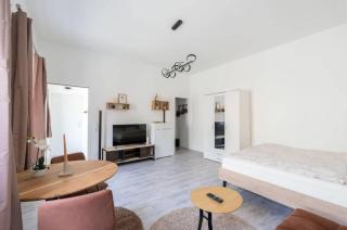 Studio Apartment Schoenbrunn - 6