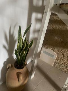 Dimora Libertà Luxury - 2