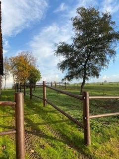 Separate apartment on country estate - close to town - 4