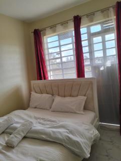 Thika Road One bedroom in Roysambu- Along Kamiti road - 3