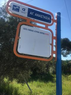 Peach Pine House - Escape Near City, Beach and Athens Airport - 8