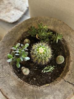 Luxury 4BHK Villa Near Kasauli - 8