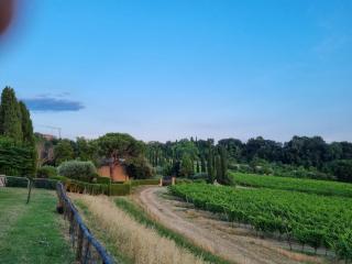 Croce di Bibbiano Apartaments with Pool in front of San Gimignano - 2