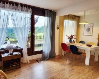 Birds eye mountain view at balcony, parking free, new kitchen, renovated bathroom - 9