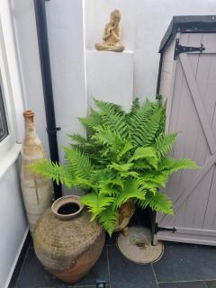 The Little Art House - 4