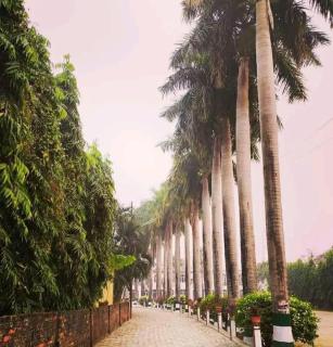 Vatika Hotel Pvt Ltd - 0