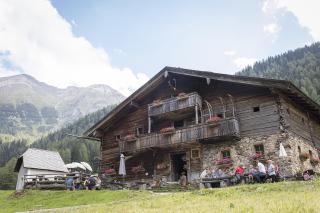 Hochalmbahnen Chalets 20W4, Eberesche, nahe Gondel, Hunde willkommen - 1