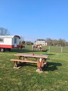 Josey wood ranch - 0