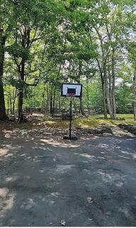 Poconos Retreat - 9