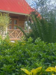 Nature flows Eco-Farm cottage & campsite - 9