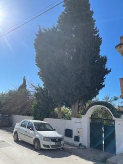 S1 Cosy à la Marsa - 1