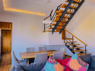 Spacious modern and centrally located - 3