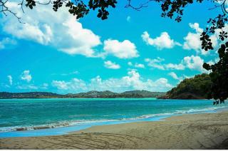 Hummingbird Villa - 7