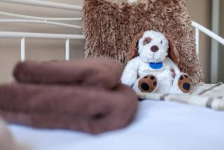 Garden Flat short walk to Kingston & Richmond Park - 5