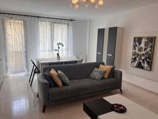 Elegant apartment in Cluj-Napoca city center - 7