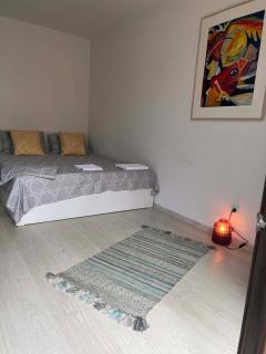 Elegant apartment in Cluj-Napoca city center - 8