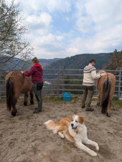 Feißesberghof Loft mit Panorama Alleinlage im Schwarzwald - 5