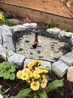 Cozy City Center Chambers with Kitchen and Garden - 5