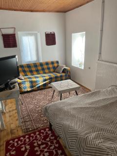 Ενοικιαζόμενη Κατοικία Γρηγόρης - 9