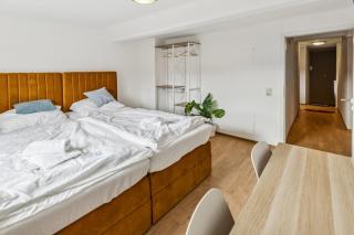 jenapartments - 4SZ 7P - vor den Toren Jenas - 8