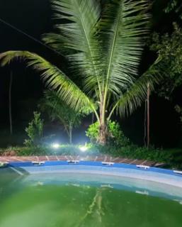 Paraíso Tours Eco-Finca, Desconexión y Aventura - 5