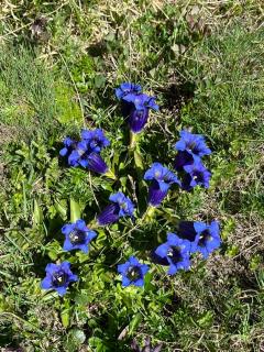 My Peaceful Retreat - 8