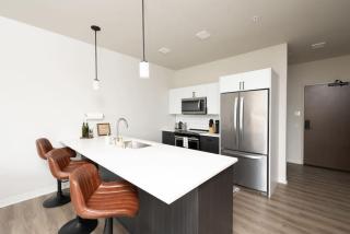 East Side Luxury 1BR Apt - Near Brady St with Balcony and Lounge - Sleeps 4 - 4
