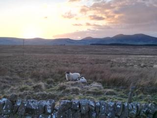 Hare Hill - Dog Friendly - 1