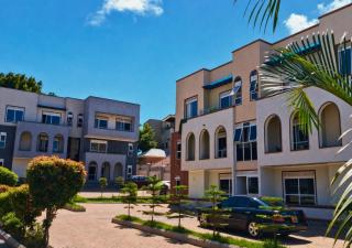 Serengeti Studio & One Bedroom Apartments with Housekeeping, Free Parking, Wi-Fi, Lake and Airport Proximity - 2