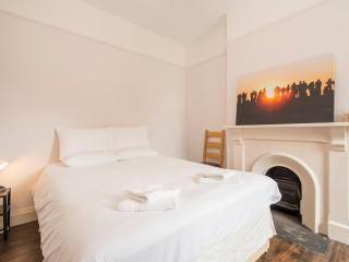 Spacious 4 Bedroom Character Home in Pontcanna - 3